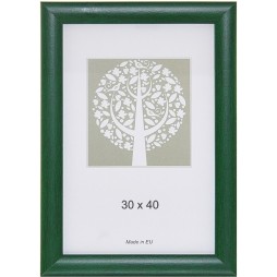 Rėmelis A3 formato, plastikinis, žalias