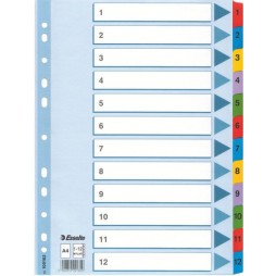 Skiriamieji lapai ESSELTE, 1-12, spalvoti, A4