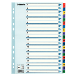 Skiriamieji lapai ESSELTE, 1-20, spalvoti, A4