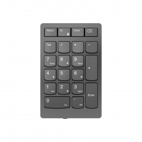 Lenovo | Professional | Go...