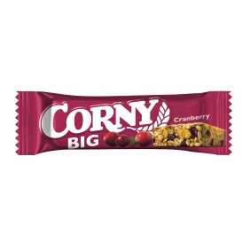 CORNY BIG javainis su...
