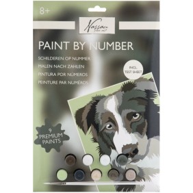 Spalvinimo pagal skaičius...