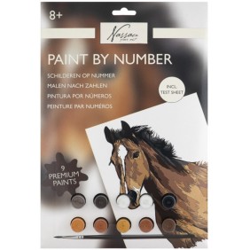 Spalvinimo pagal skaičius...