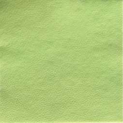 Stalo servetėlės LENEK, salotinės spalvos, 1 sluoksnio, 24x24 cm, 400 vnt.
