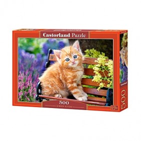 Castorland dėlionė Ginger...