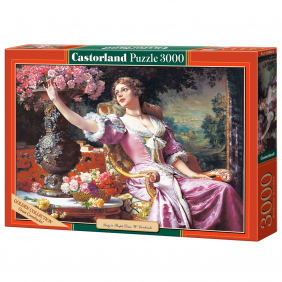 Castorland dėlionė „Lady in...