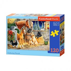 Castorland dėlionė...