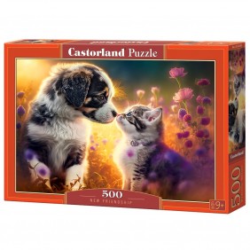 Castorland dėlionė New...