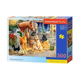 Castorland Dėlionė...