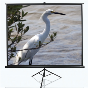 Elite Screens | Tripod...
