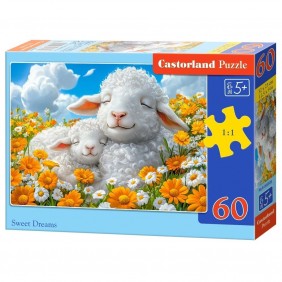 Castorland dėlionės Sweet...