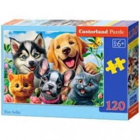 Castorland dėlionė Pets...