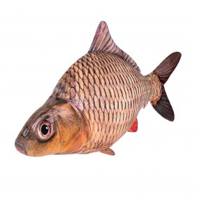 Fancy minkštas Karpis 50 cm
