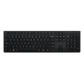 Lenovo Professional...