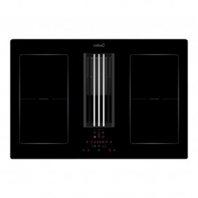 CATA | IAS 770 | Induction...