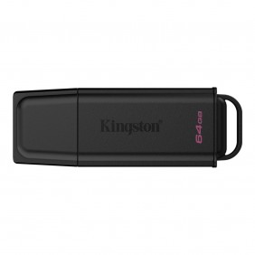 Kingston DataTraveler...