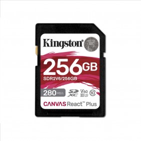Kingston | Canvas React...