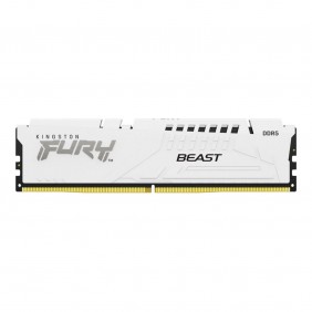 Kingston KF560C30BWE-32...