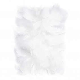 Plunksnos 5-12cm 10g, baltos