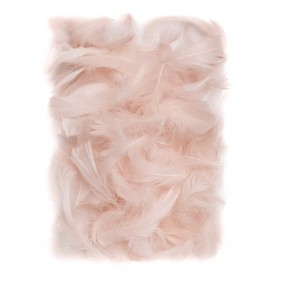 Plunksnos 5-12cm 10g,...