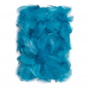 Plunksnos 5-12cm 10g,...
