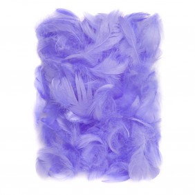 Plunksnos 5-12cm 10g,...